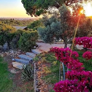 Oasis Camp Portugal Tente de luxe